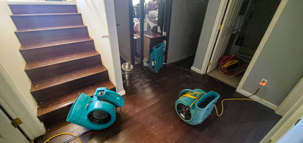 Best Professional water damage repair  in Lillington, NC