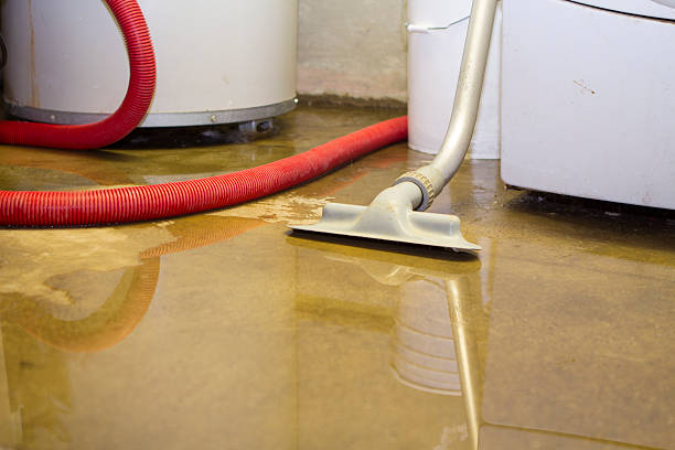 Best Residential water damage restoration  in Lillington, NC