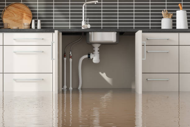  Lillington, NC Water damage restoration Pros
