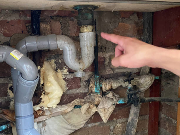Best Flooded house restoration  in Lillington, NC