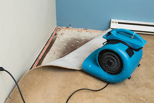 , NC Water damage restoration Company