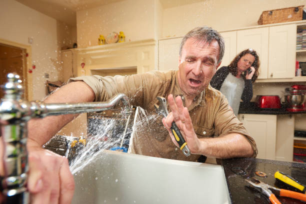Best Basement water damage restoration  in Lillington, NC